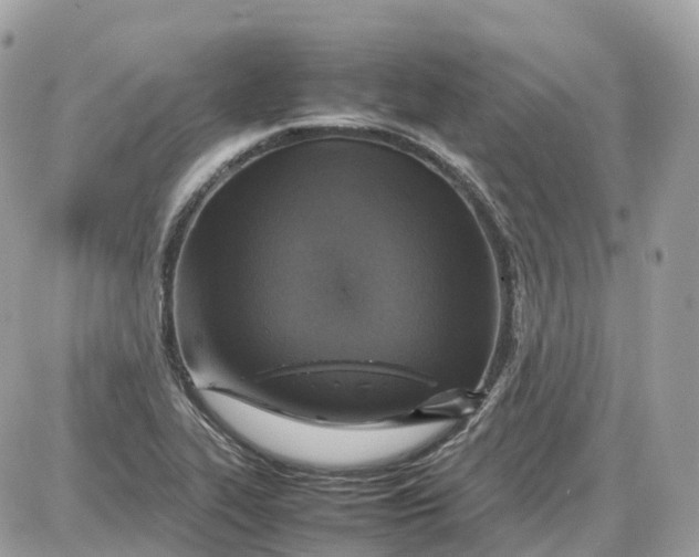 X0000087621319200705120008