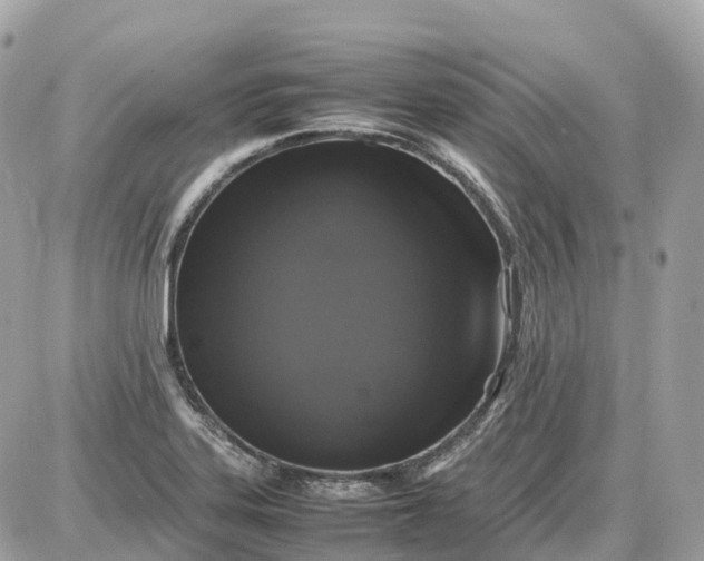 X0000087621323200705120008