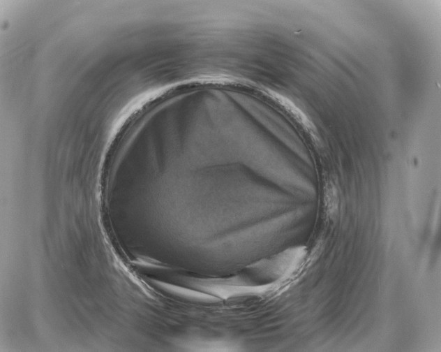X0000087621327200705120008