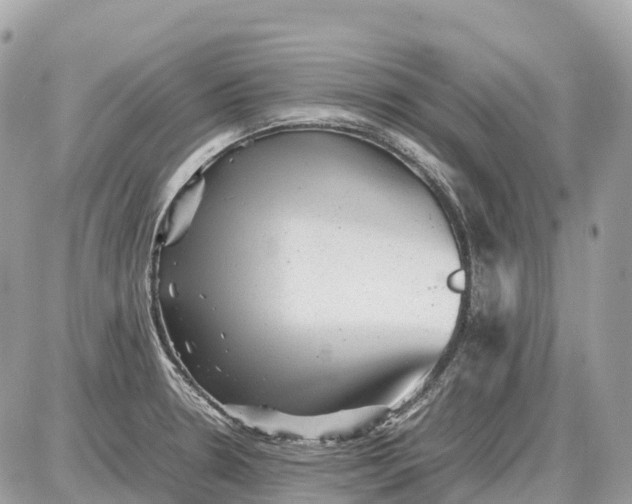 X0000087621330200705120008
