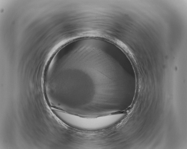 X0000087621334200705120009