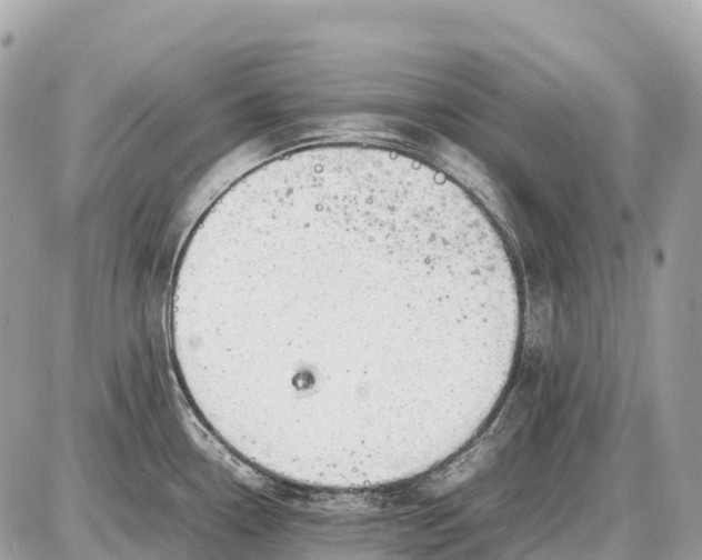 X0000087621338200705120009
