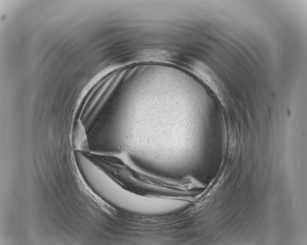 X0000087621339200705120009