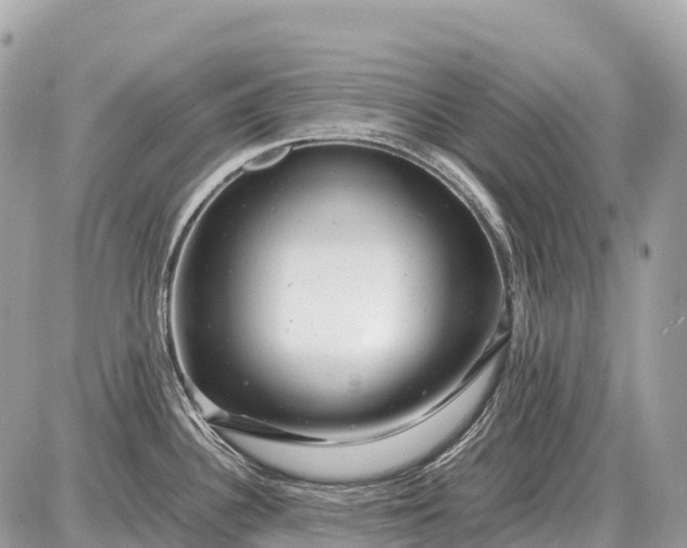 X0000087621340200705120009