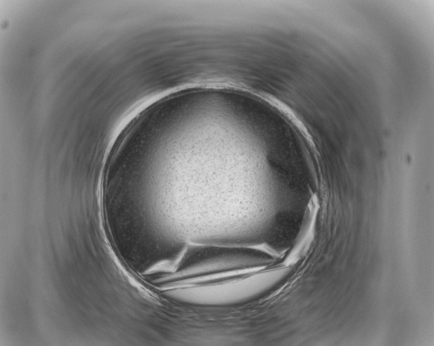 X0000087621343200705120009
