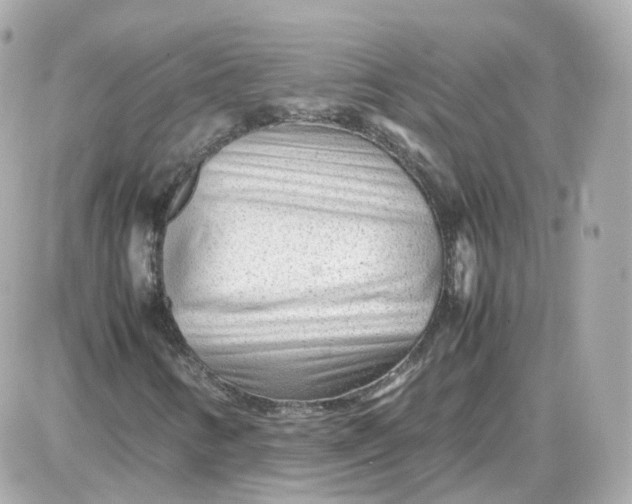 X0000087621346200705120008