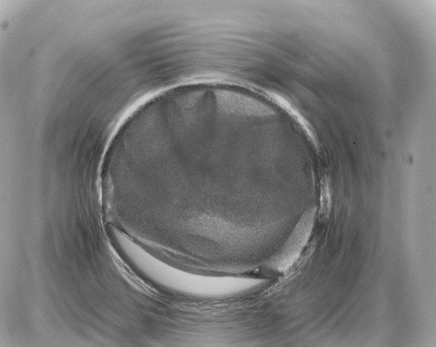 X0000087621372200705120008