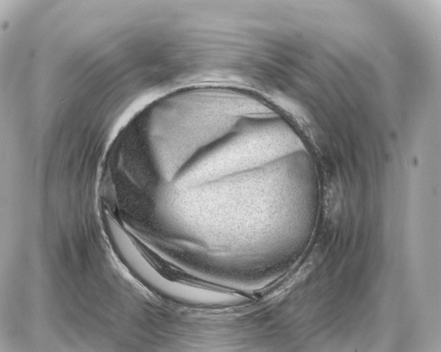 X0000087621374200705120007