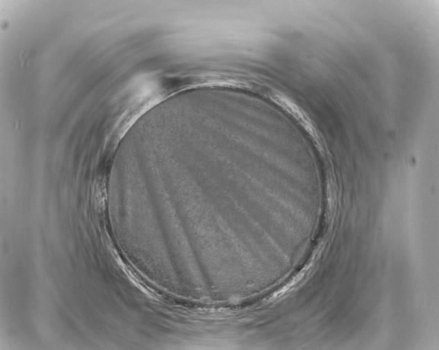X0000087621377200705120007