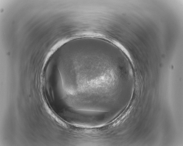 X0000087621381200705120007