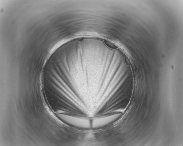 X0000087621382200705120007