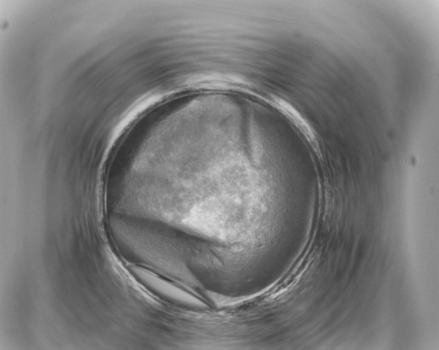 X0000087621384200705120007