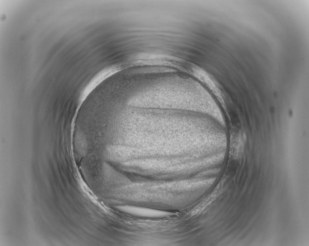 X0000087621386200705120007