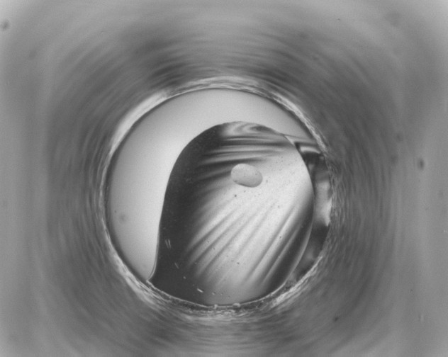 X0000087621426200705120007