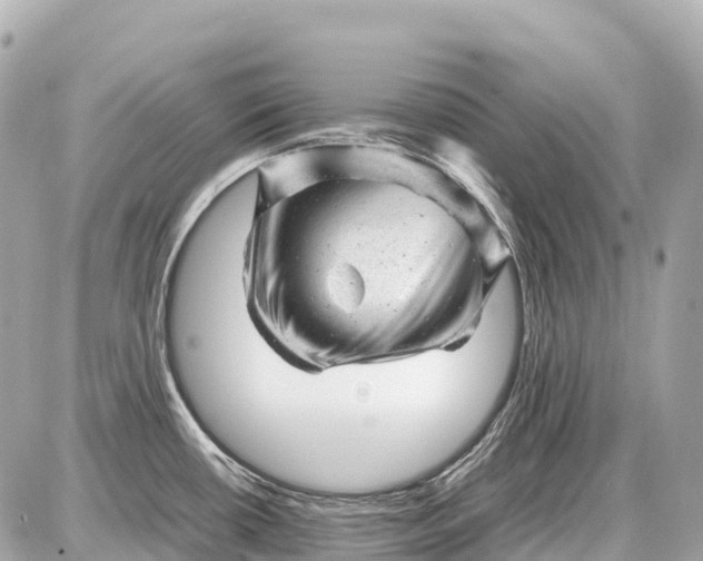X0000087621434200705120007