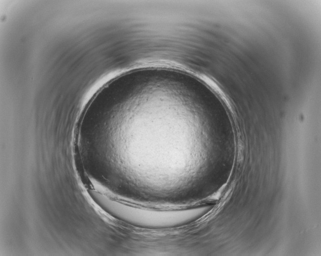 X0000087621438200705120007