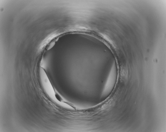 X0000087621455200705120006