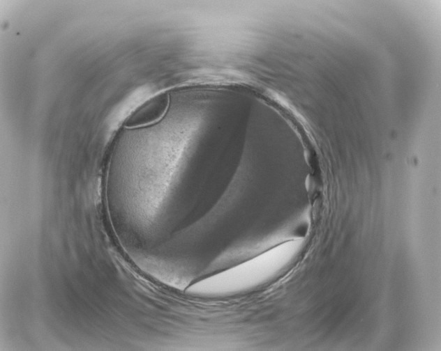 X0000087621459200705120006