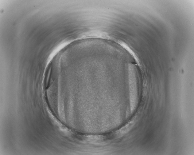 X0000087621469200705120006