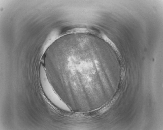 X0000087621473200705120006