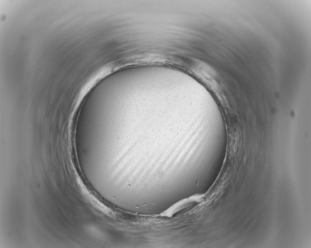 X0000087621475200705120006