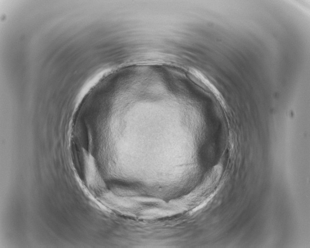X0000087621477200705120006