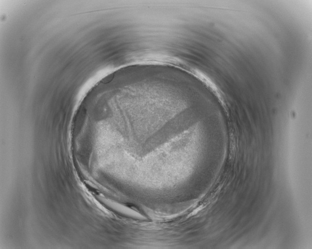 X0000087621480200705120006