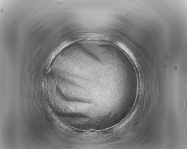 X0000087621481200705120006