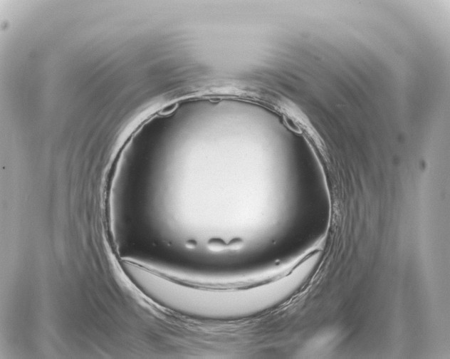 X0000087621483200705120006