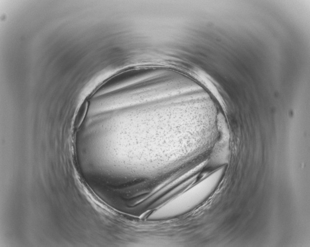 X0000087621485200705120006