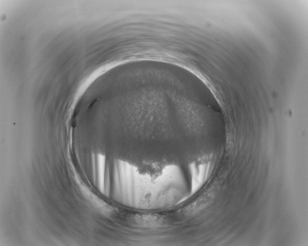 X0000087621515200705120005