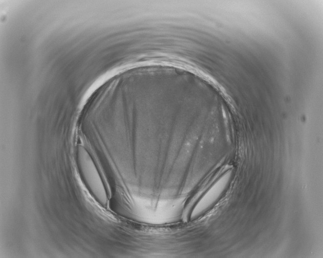 X0000087621522200705120005