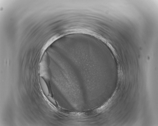 X0000087621529200705120005