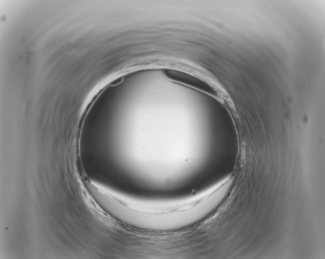 X0000087621530200705120006