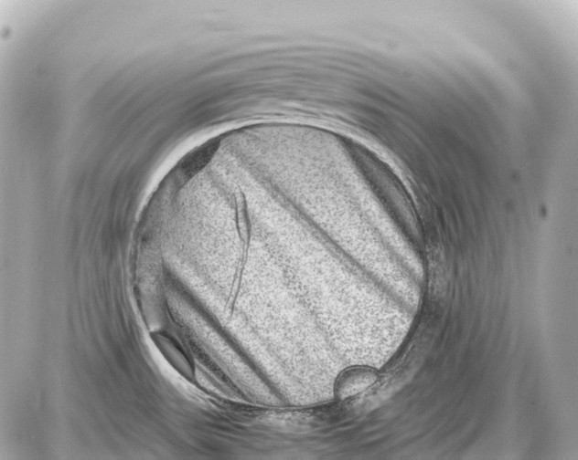 X0000087621531200705120006