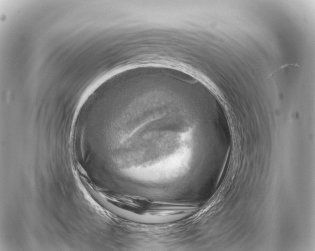 X0000087621536200705120006