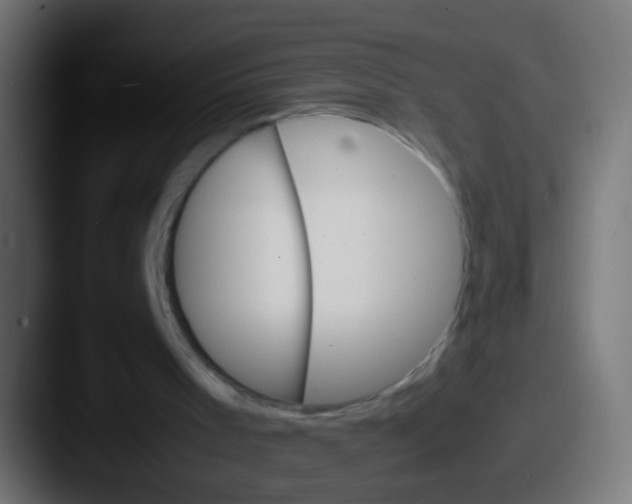 X0000087620001200705181321