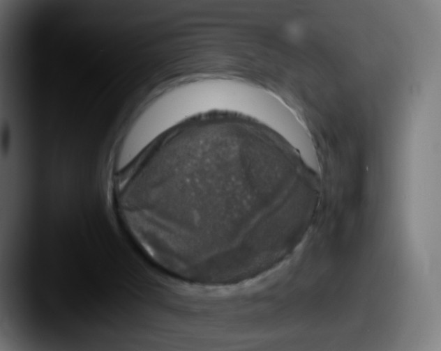 X0000087620002200705181321