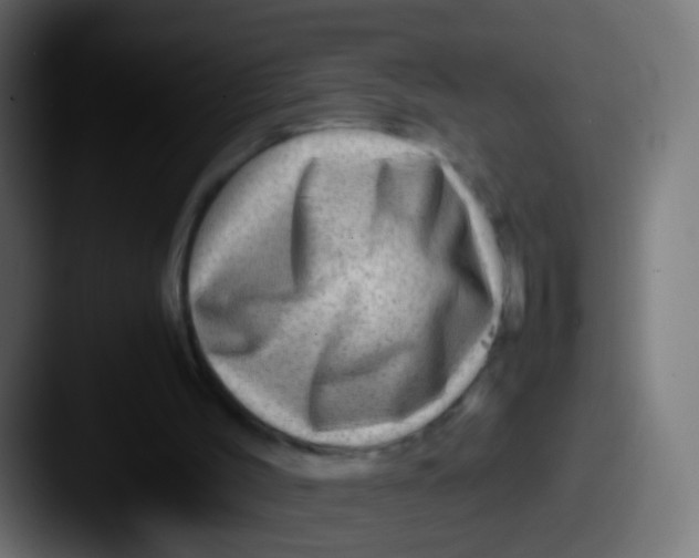 X0000087620004200705181321