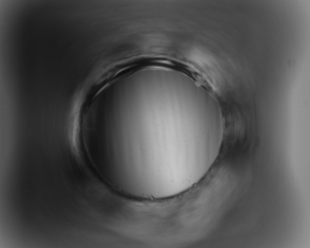 X0000087620005200705181321