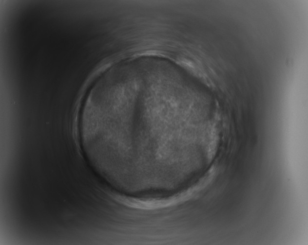 X0000087620006200705181321