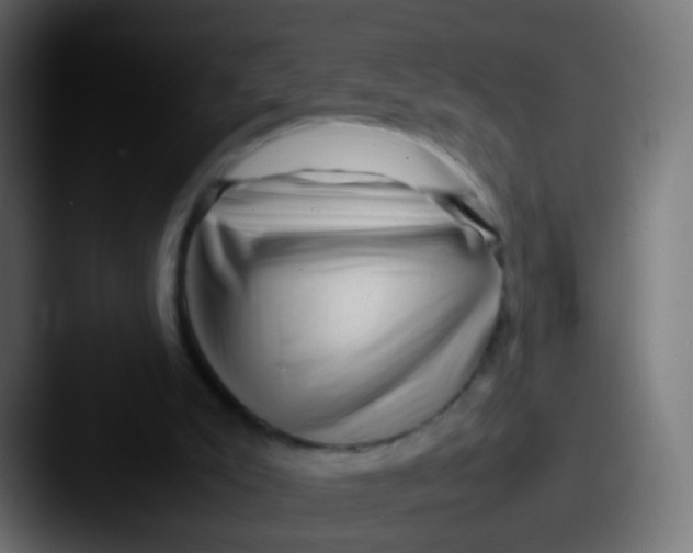 X0000087620007200705181321