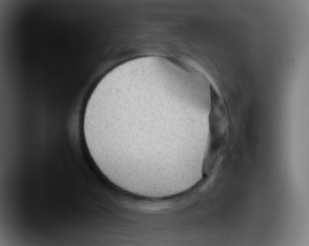 X0000087620008200705181321