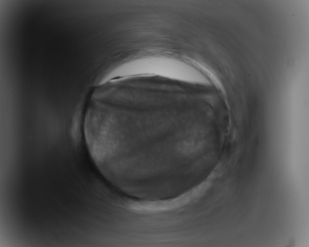 X0000087620009200705181321