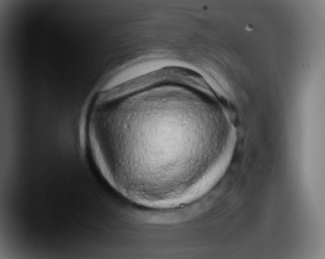 X0000087620011200705181321