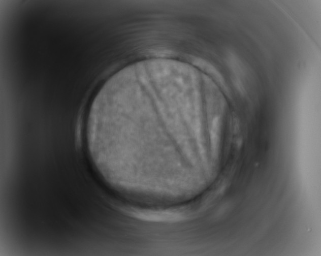 X0000087620012200705181321