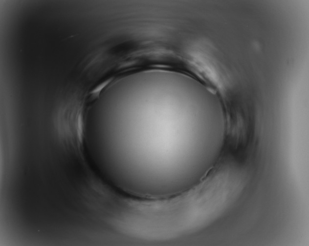 X0000087620013200705181321