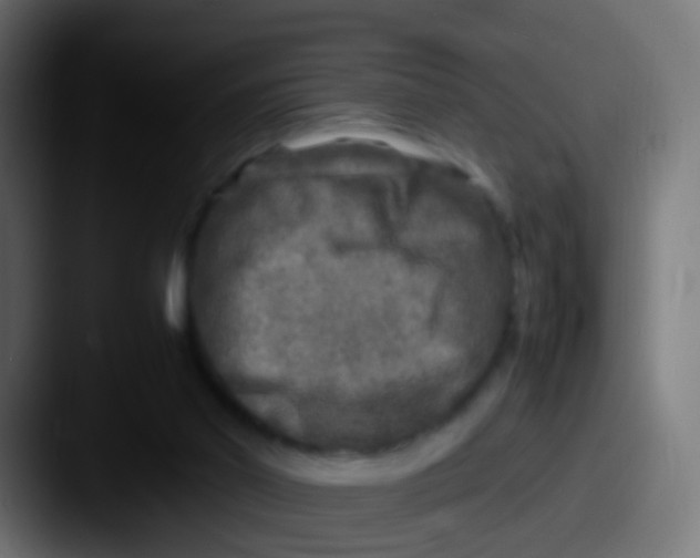 X0000087620014200705181321