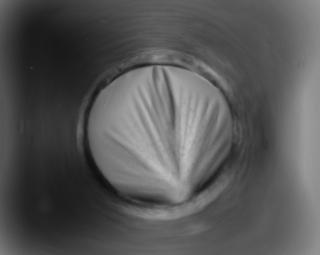 X0000087620015200705181321