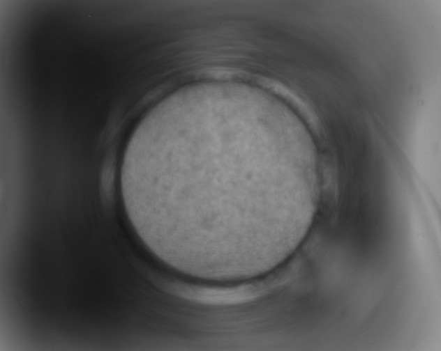 X0000087620016200705181321